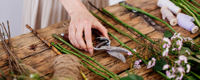 Quelles sont les compétences indispensables pour réussir sa reconversion fleuriste ?